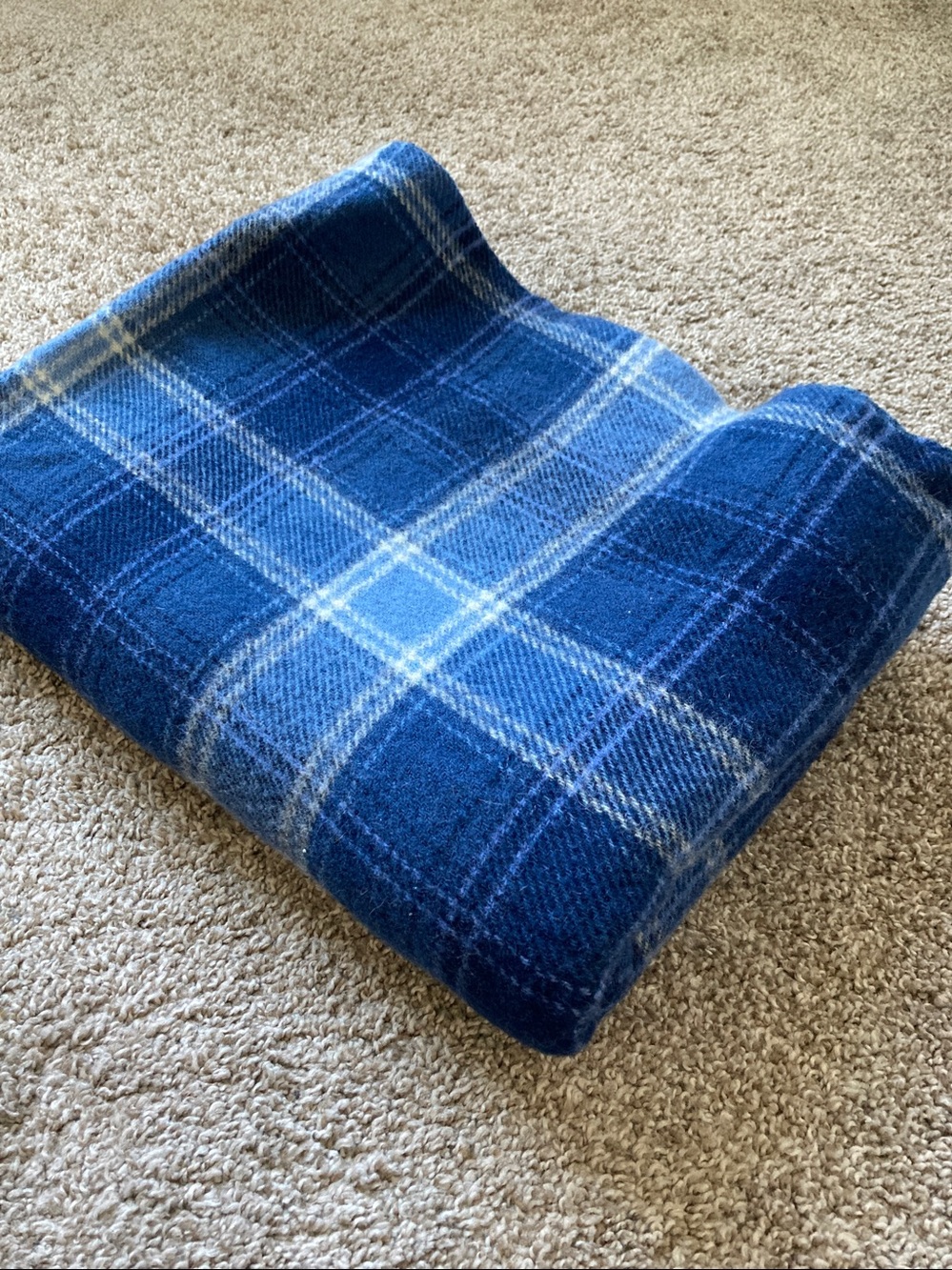 Vintage Pendleton pure Virgin Wool plaid fringed lap blanket throw Monogrammed